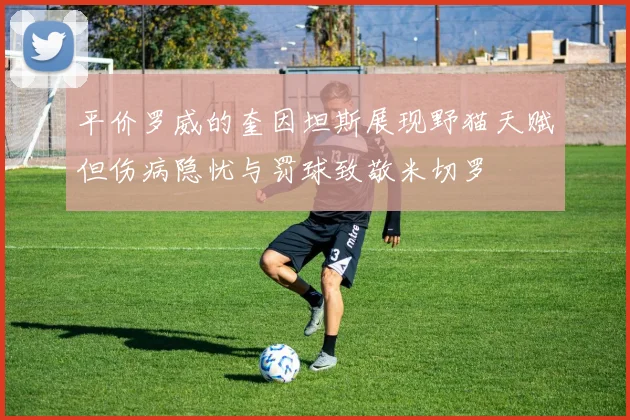 平价罗威的奎因坦斯展现野猫天赋但伤病隐忧与罚球致敬米切罗